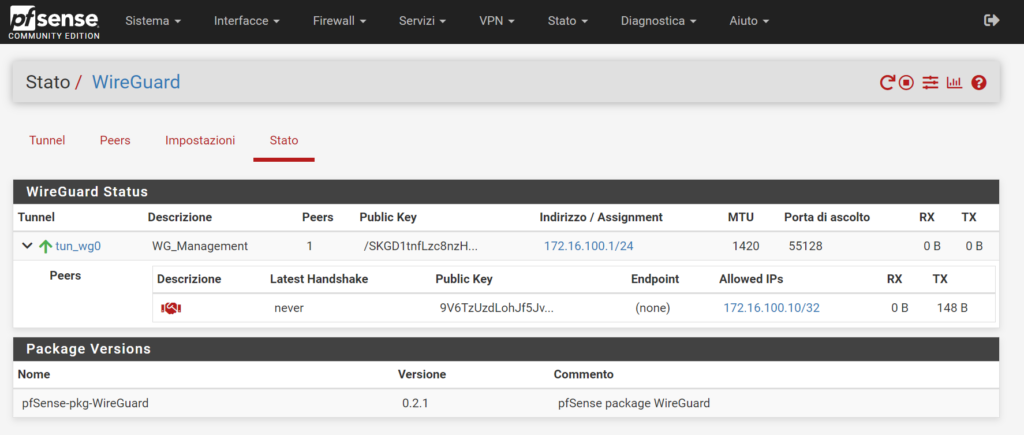 Stato del tunnel Wireguard