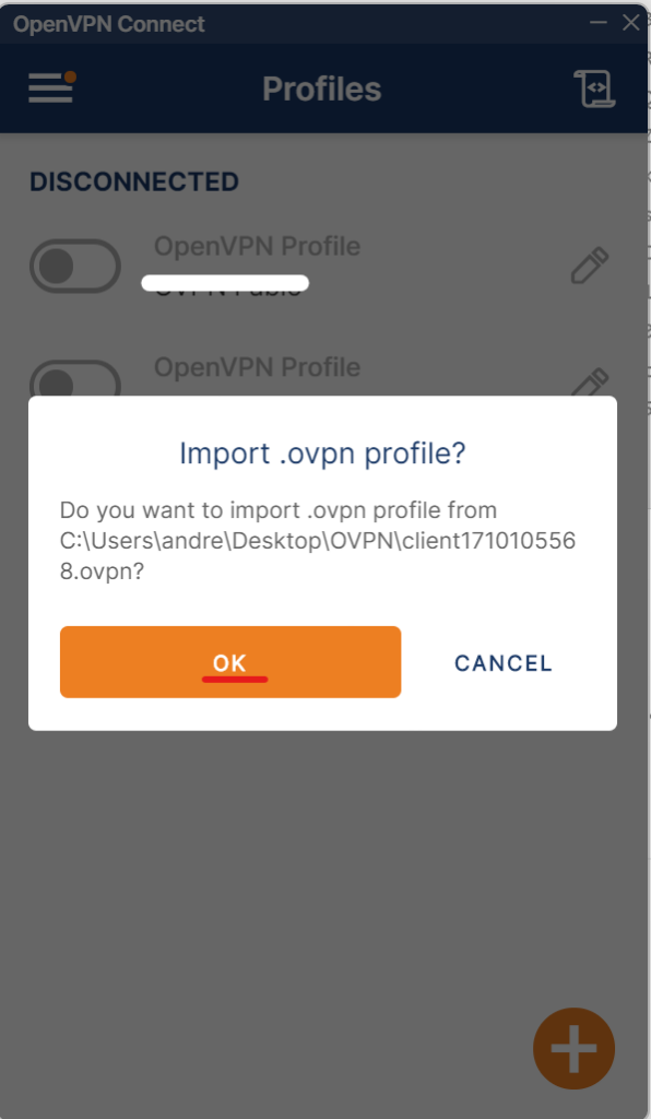 Conferma importazione openvpn profile